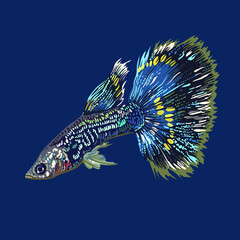 Blue cobra guppy fish, beautiful tail fish, vector