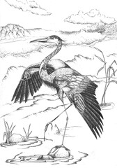 Drawing of a heron in the reeds, on a white background © Елена Устьянцева