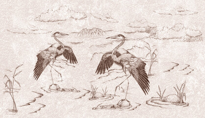 Fototapety  Two cranes, a pair of cranes standing in front of each other. Chinese painting, Digital mural for Wall decoration