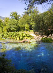 Source The Blue Eye in National Park in Albania