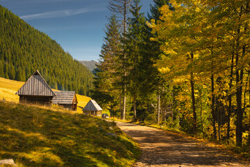 Chochołowska Valley in the autumn landscape. Western Tatras in the morning.