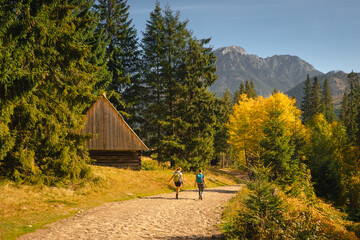 Chochołowska Valley in the autumn landscape. Western Tatras in the morning. © PawelUchorczak