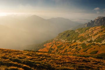 Beautiful autumn in the Western Tatras. Yellow and orange grasses create an amazing atmosphere. The light of the setting sun illuminates the mountain ridges.
