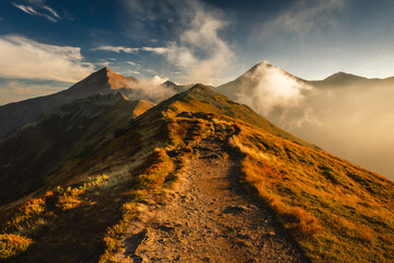 Beautiful autumn in the Western Tatras. Yellow and orange grasses create an amazing atmosphere. The light of the setting sun illuminates the mountain ridges.