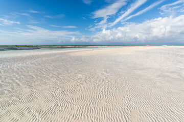 La plage de Pingwe est un petit coin de paradis incroyablement beau situé à Zanzibar