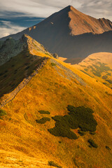 Beautiful autumn in the Western Tatras. Yellow and orange grasses create an amazing atmosphere. The light of the setting sun illuminates the mountain ridges. © PawelUchorczak