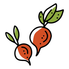 Radish autumn vegetable harvest, linear vector icon in doodle style