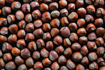 Brown hazelnuts in shell. Food textured background. Top view