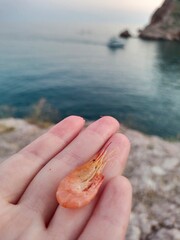 person holding a stone