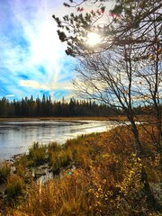 autumn in the park