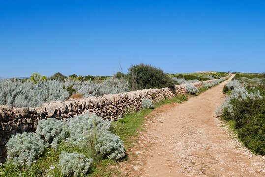 Coastal trail with typical dry stone wall in Riserva Naturale Oasi Faunistica di Vendicari, province Syracuse, Sicily, Italy.