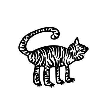 Tiger doodle illustration isolated, Striped tiger predator animal primitive cartoon vector drawing
