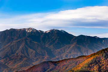 Obraz premium 綺麗な山と紅葉した木