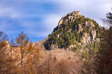 Fototapeta na wymiar 紅葉した木が生える、岩だらけの山　瑞牆山