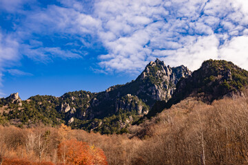 紅葉した木が生える、岩だらけの山　瑞牆山