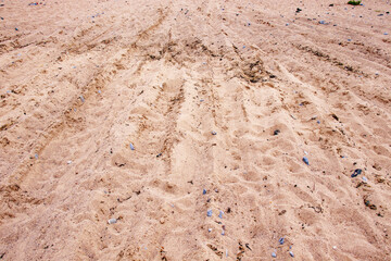 Road in the sand