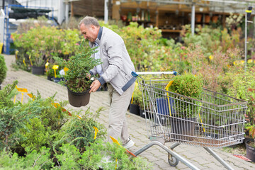 Caucasian man choosing sprouts in garden center