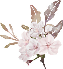 水彩風　落ち着いた色合いのリアルな桜の枝とツタの装飾　線画なし