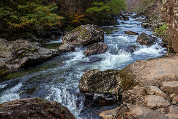 Obraz premium Rapids along the Glaslyn River in autumn
