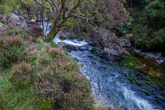 View along the Glaslyn River in autumn