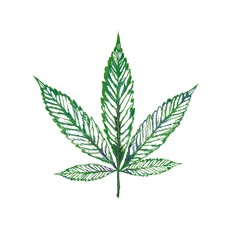 Simple Pot leaf Art Sketch 