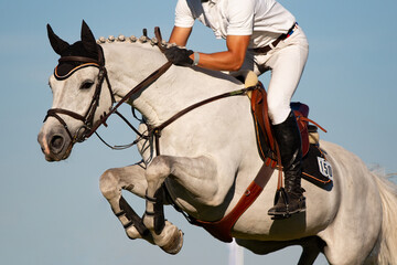 Horse Jumping, Equestrian Sports, Show Jumping themed photo.
