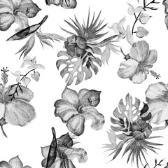 Black Hibiscus Jungle. White Flower Leaves. Seamless Leaf. Watercolor Jungle. Summer Wallpaper. Pattern Jungle. Tropical Leaf. Isolated Set.