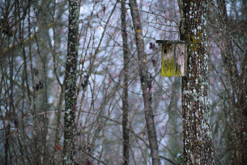 bird nesting box