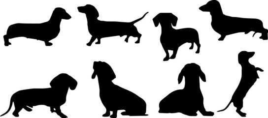 Dachshund Dog Silhouette Bundle SVG