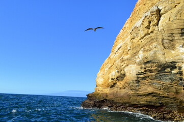 Fototapeta na wymiar Sea scape of Galapagos islands, Ecuador