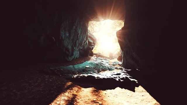 sunlight filters into a wet stone cave