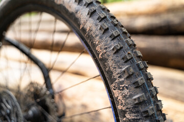 Electric mountain bike rear wheel in the forest with long logs lying on the ground in the background