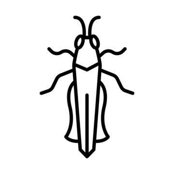 Grasshopper Outline Icon Animal Vector