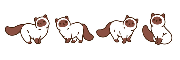 Funny full cat in different poses in cartoon style. Siamese fluffy cat. Cartoon vector illustration.