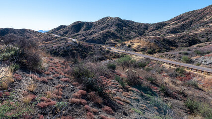 A road in the Arizona Sonora desert