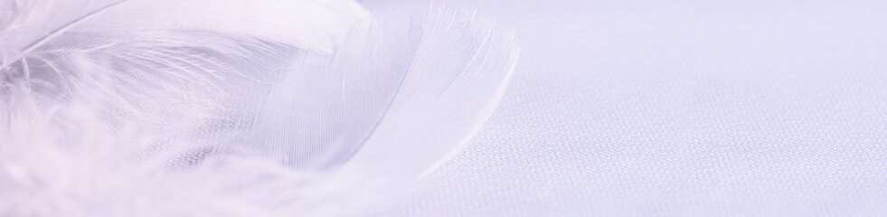 Pink and purple draped tulle with feathers for background