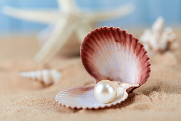 An open sea shell with a pearl inside..