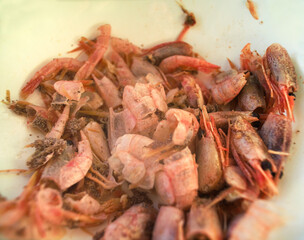 eaten shrimps on a plate