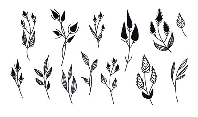 Vector illustrations - a set of graphic flowers, plants. 13 hand-drawn sketch-style design elements. Perfect for creating prints, patterns, tattoos, etc.