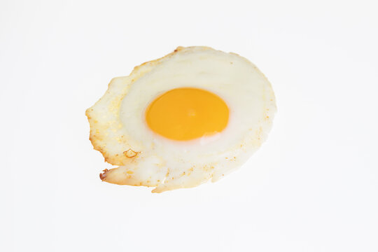 Egg
