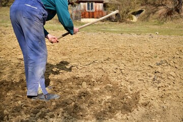 A farmer digs the soil with a hoe before planting seeds in the spring