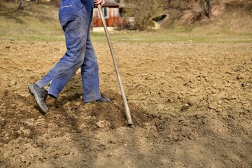 A farmer digs the soil with a hoe before planting seeds in the spring