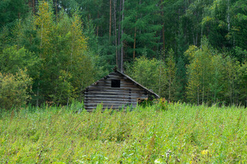 the house is old abandoned on the edge of the forest