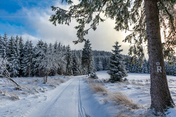 Erste Winterwanderung auf dem Rennsteig bei sch&ouml;nstem Sonnenuntergang - Deutschland