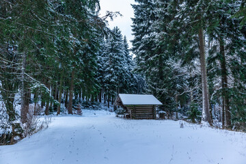 Erste Winterwanderung auf dem Rennsteig bei schönstem Sonnenuntergang - Deutschland