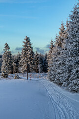 Obraz premium Erste Winterwanderung auf dem Rennsteig bei schönstem Sonnenuntergang - Deutschland