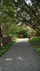 Tunnel of trees in a garden