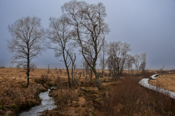 Landscape Photo The Moorland The