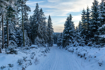 Obraz premium Erste Winterwanderung auf dem Rennsteig bei schönstem Sonnenuntergang - Deutschland