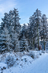 Erste Winterwanderung auf dem Rennsteig bei schönstem Sonnenuntergang - Deutschland